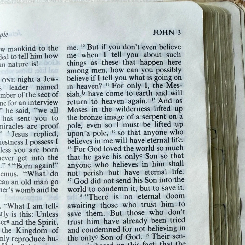 The Children's Living Bible Green Vintage 1972 Tyndale Paraphrased Illustrated